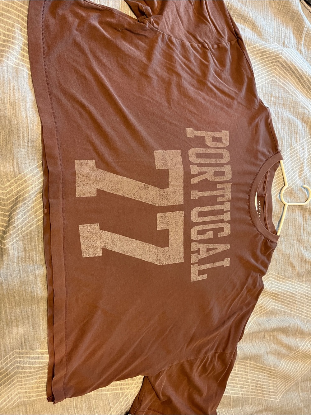 American Eagle Outfitters Portugal 77 Graphic T-Shirt in Brown